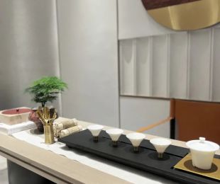 样板图