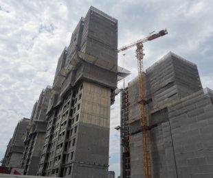 实景图