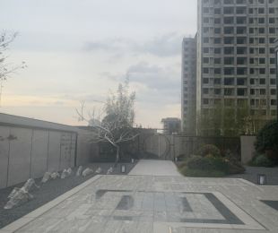样板图