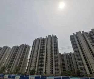 实景图