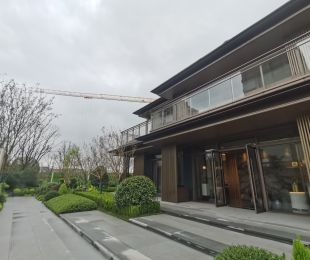 效果图