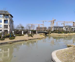 实景图