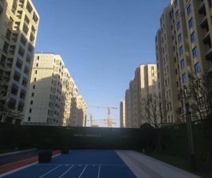 效果图