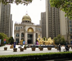 实景图