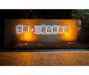 样板图