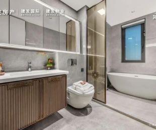 样板图