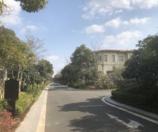 实景图