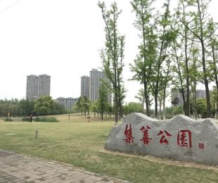样板图