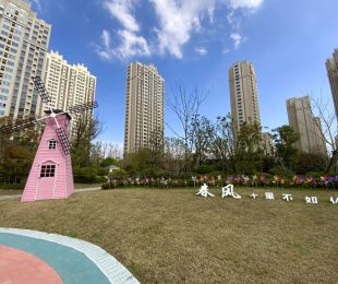 实景图