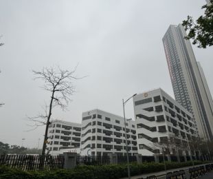 样板图