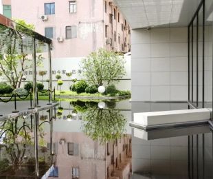 实景图