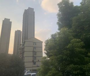 效果图