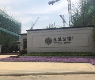 实景图