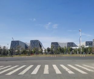 实景图