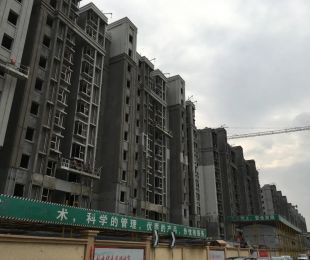 实景图
