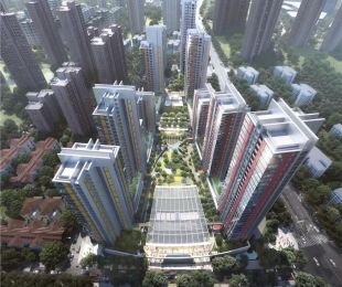 效果图