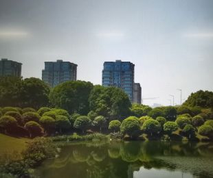 配套图