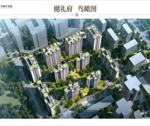 效果图