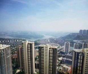 实景图