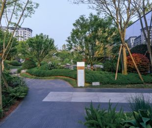实景图
