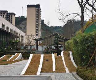 实景图