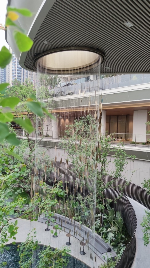 实景图