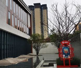实景图