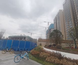 实景图