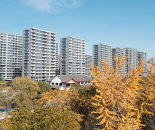 实景图