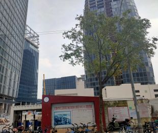 实景图