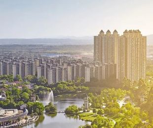 效果图