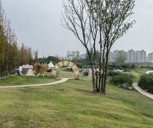 实景图