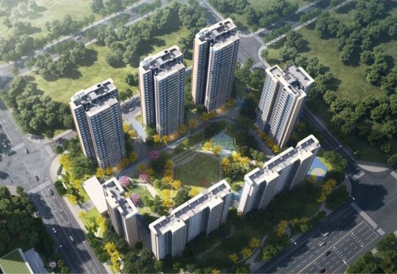 信智东岸