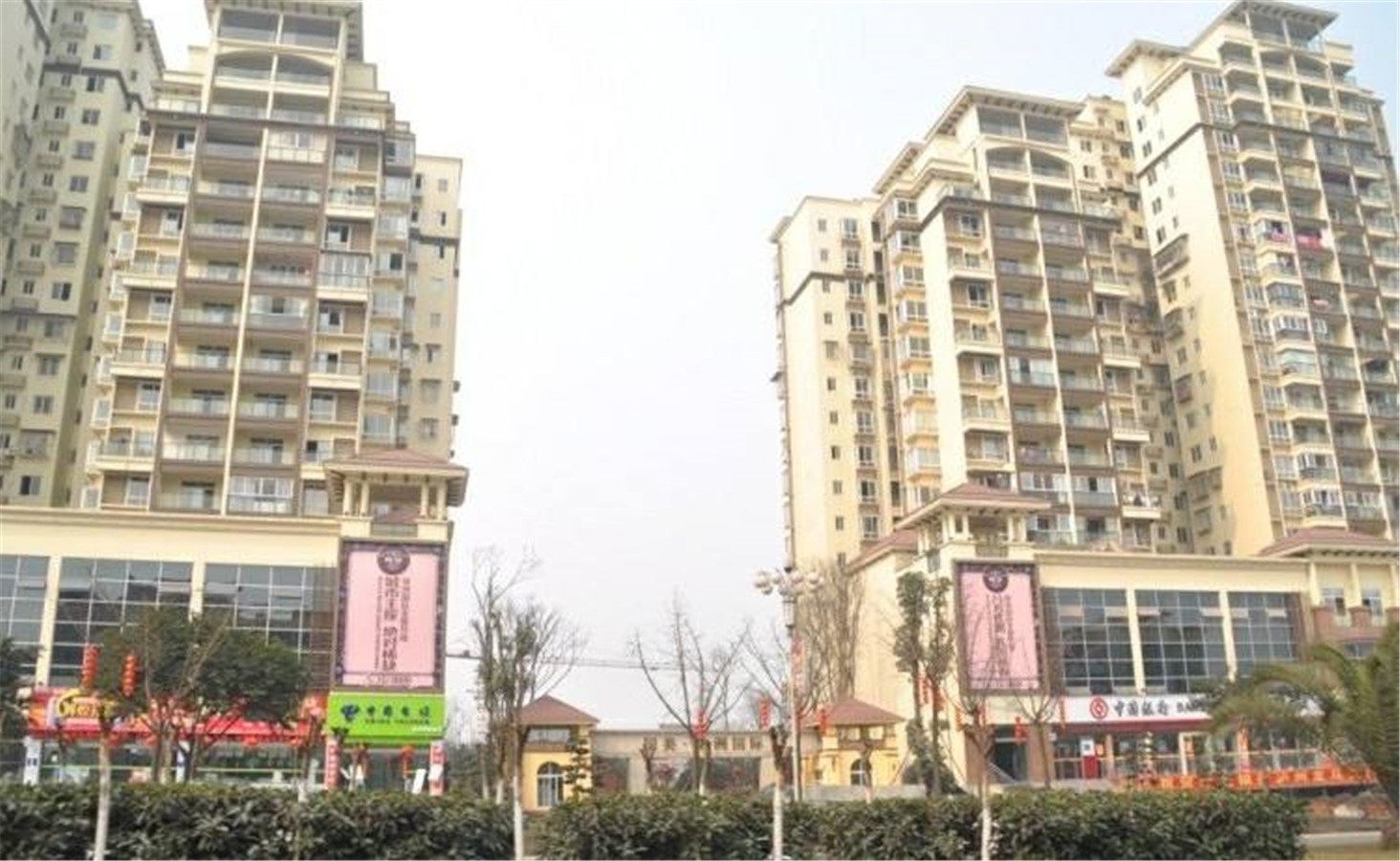 绿洲国际